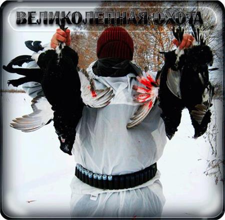 Мужской шаблон для фото - Зверя бьют - время ждут