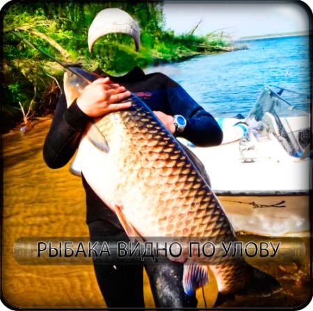 Шаблон для фотошопа - К тому, кто рано встает, рыба сома в руки идет