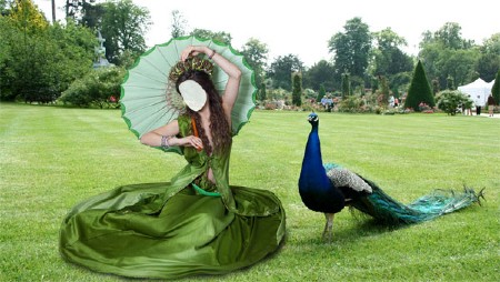 Шаблон для фотошопа - В парке в зеленом платье и с павлином