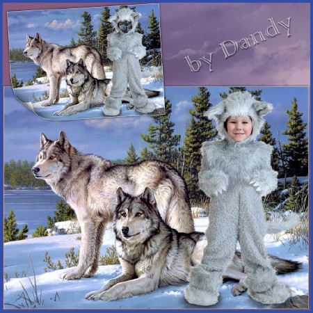 Шаблон для фотошопа - Волчок серый бочок