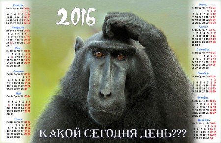 Календарь на 2016 год - Какой сегодня день