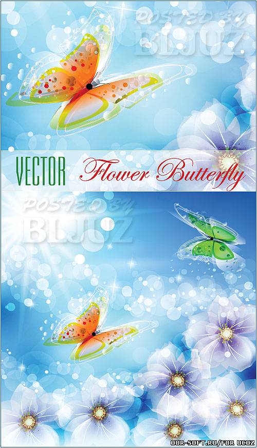 Vector Flower Butterfly
